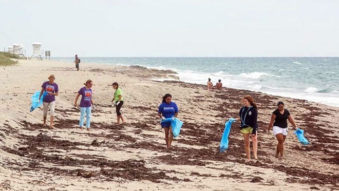 Volunteers participate in a Turtle Tuesday beach cleanup event at Midtown South Beach Tuesday, September 13, 2016. Gregg Beletsky, the founder and CEO of the cleanup effort said about 30 people participated Tuesday. “Since we began keeping count we have removed about 9,000 lbs of debris from the Palm Beaches,” Beletsky said. The final cleanup of the year will take place on October 11 at a beach to be determined. Damon Higgins / Daily News
