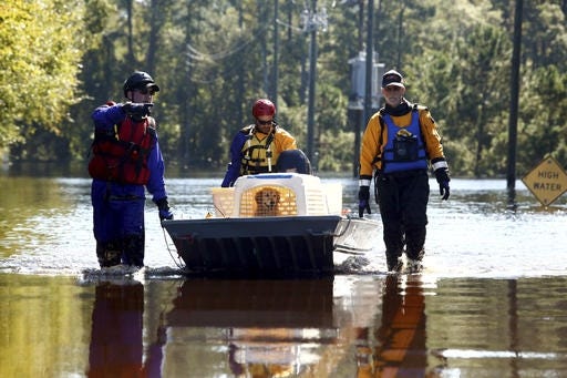 A team from the ASPCA works to bring a dog named Caroline to dry land after rescuing the animal from a nearby home surrounded by floodwater associated with Hurricane Matthew on Thursday, Oct. 13, 2016, in Lumberton, N.C. The society said it has helped nearly 1,000 animals in the Carolinas and Georgia since Hurricane Matthew struck last weekend.  (AP Photo/Brian Blanco)