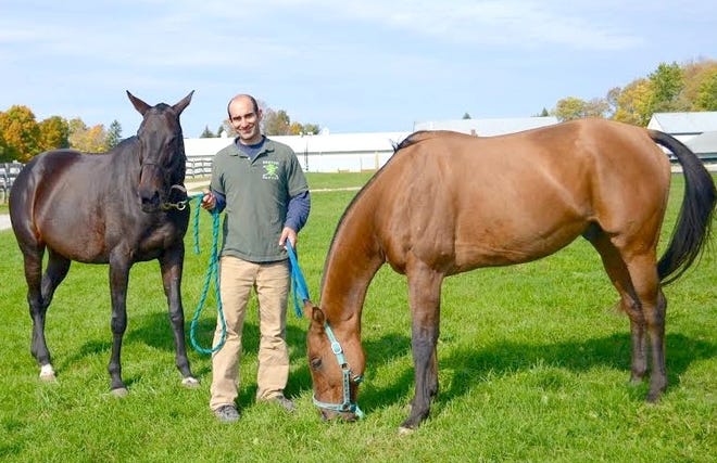 Mark Tashjian of Boston Polo Club stands with two of their horses, Jedda, left, and Samurai, right. Photo by Maggie van Galen