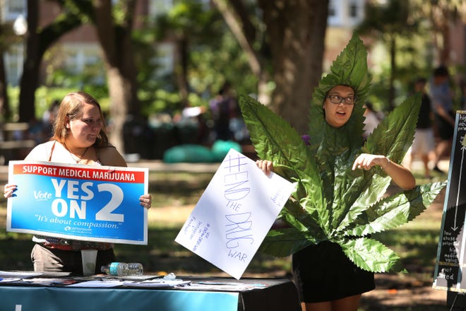 University of Florida students, from left, Brittany Natale and Angel Lauver, both 20, with Students for Sensible Drug Policy, show support for the upcoming vote on medical marijuana at Plaza of the Americas on the UF campus Wednesday, October 15, 2014. (Doug Finger/The Gainesville Sun)