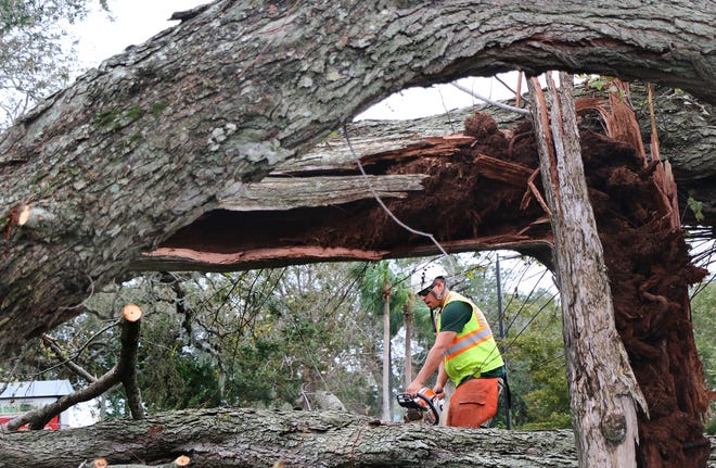 Brandon Philippi, who works for Paul Bunyan tree service out of Rockwood, Pennsylvania, chainsaws a large oak tree fallen at the corner of U.S. 1 and Dunlawton Ave. in South Daytona Tuesday, Oct. 11, 2016. News-Journal/JIM TILLER