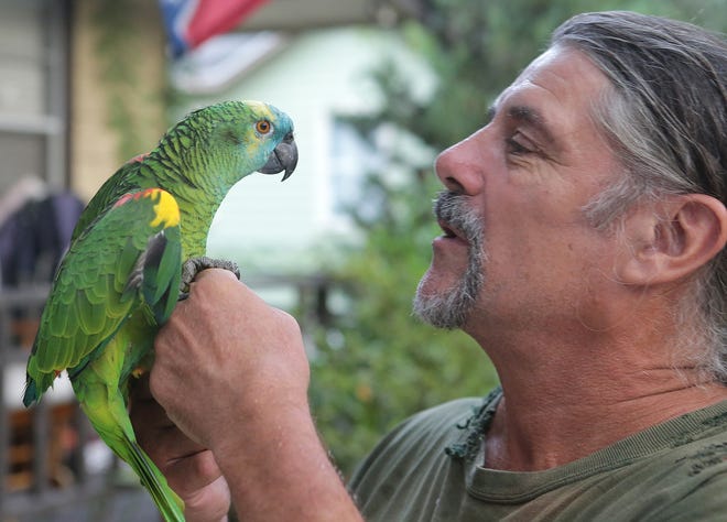 Noah Weber smiles as he is reunited with his beloved parrot, Marley, in September 2015. The bird is back with Marley after disappearing once again. HEATHER HOWARD/News Herald file photo