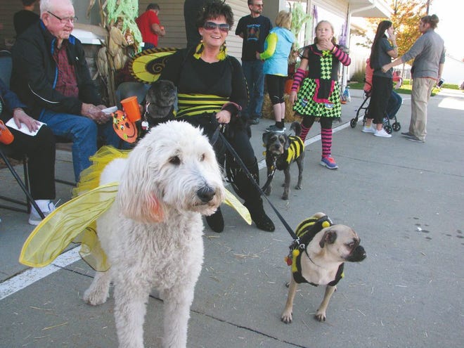 Katie Milani of Pleasant Hill, whose sister works for Windsor Manor, thought it would “bee” fun to bring her four dogs to Windsor Manor for the Halloween celebration. Dressed, along with her, in their bee attire, the dogs are Gabby, Mary, Mildred and Milton. Katie said she makes quite a few appearances with her dogs during the holidays, and every year they have new costumes to wear.