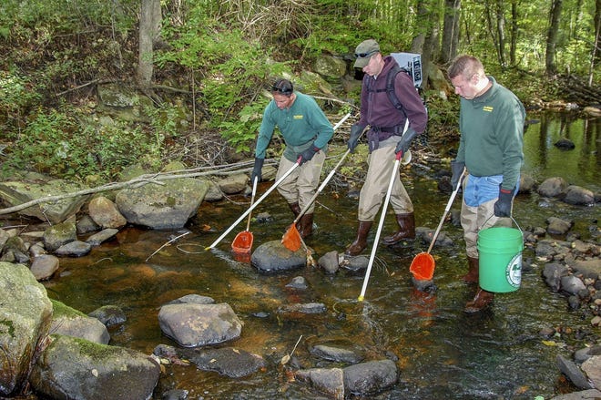 From left, Central Wildlife District fisheries biologists Mark Brideau, Mike Morelly and Scott Kemp conduct a coldwater stream survey. Submitted Photo by Bill Byrne
