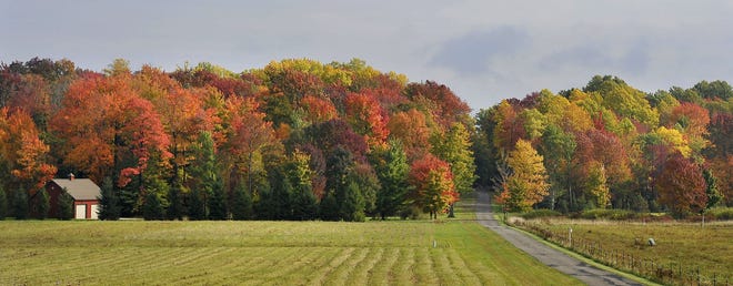 Fall foliage is in full color along Maple Lane Drive in Summit Township on Oct. 17. CHRISTOPHER MILLETTE/ERIE TIMES-NEWS