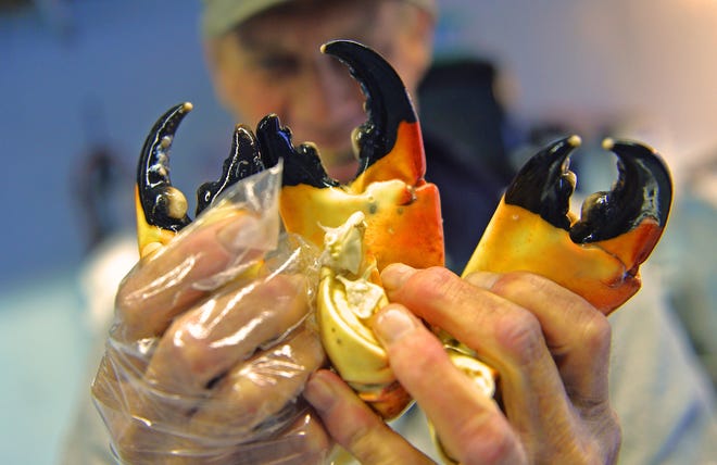 The Stone Crab Festival returns to Cortez this weekend. HERALD-TRIBUNE ARCHIVE