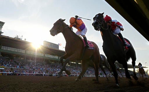 Gary Stevens celebrates after Beholder, left, defeated Songbird, ridden by Mike Smith, in the Breeders' Cup Distaff horse race at Santa Anita, Friday, Nov. 4, 2016, in Arcadia, Calif. (AP Photo/Mark J. Terrill)