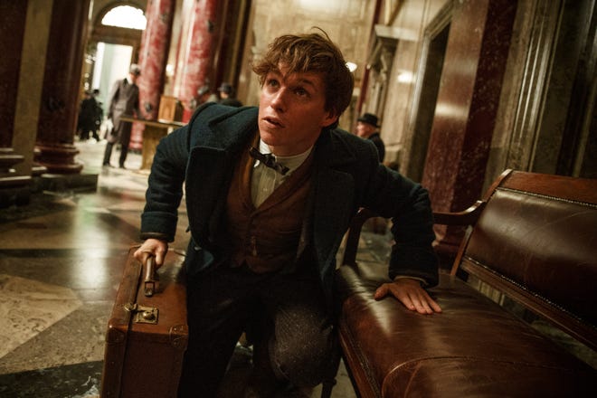 Newt (Eddie Redmayne), magic case in hand, searches for flying beasts. (Heyday Films)