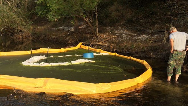 PROVIDED BY WWALS WATERSHED COALITION Chris Mericle, a member of the WWALS Watershed Coalition, examined a barrier Saturday surrounding discolored water in a section of the Withlacoochee River.