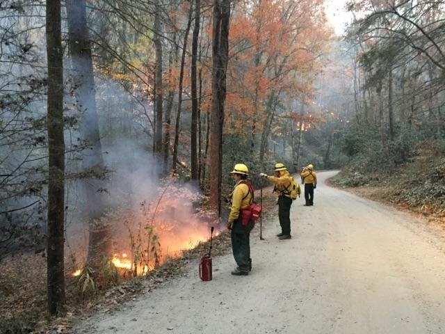 Special to The Star

Fire personnel work to contain wildfires that have engulfed nearly 5,700 acres of land in South Mountains State Park.