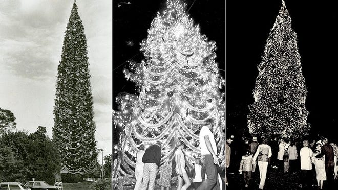 The world’s largest Christmas tree — towered over the National Enquirer headquarters in Lantana.