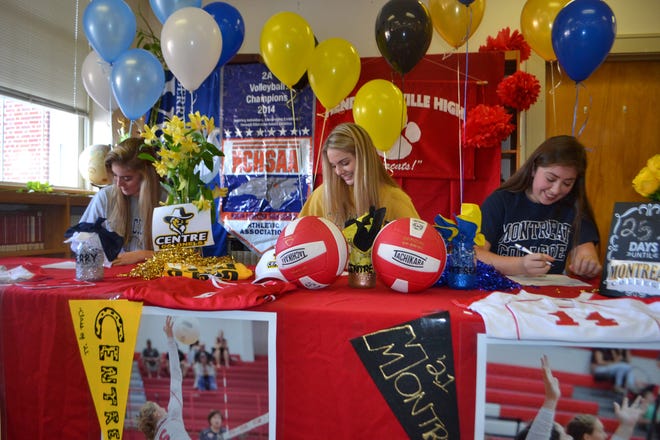 Hendersonville's Cyrena Bedoian, left, Savanna Roper and Kendall Wick all signed letters of intent to play college volleyball on Tuesday morning. JOEY MILLWOOD/Times-News