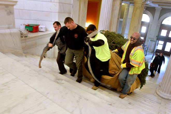 From left, Tim Carrol, Bill Whelan, Julien Fernandes and Rafael Matos drag a new 20-foot Christmas tree up the marble stairs to the rotunda at the State House Tuesday afternoon.