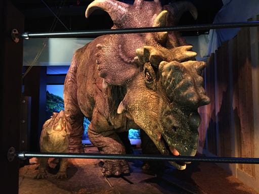 This Wednesday, Nov. 23, 2016 photo, shows a pair of pachyrhinosaurus that move around as part of the “Jurassic World” exhibit opening Friday, Nov. 25, at the Franklin Institute in Philadelphia. (AP Photo/Josh Cornfield)