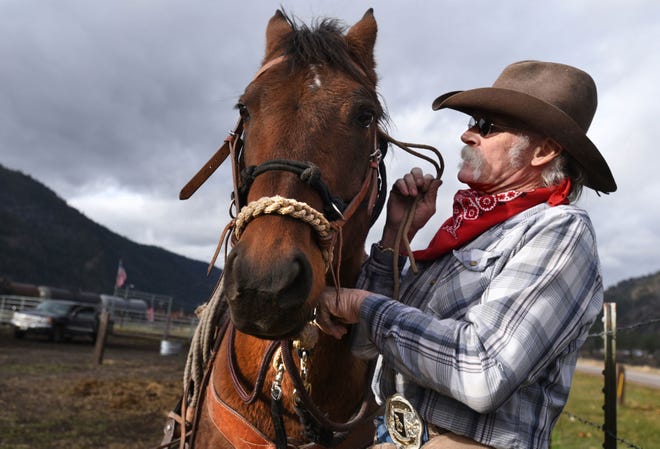 John Thompson finishes putting a hackamore on Geronimo, a horse that he is training in his corral just off Montana Highway 200 in Paradise, earlier this week. Thompson has trained some sixty horses, many of them abused or neglected, in the last few years and credits the animals for saving his own life.