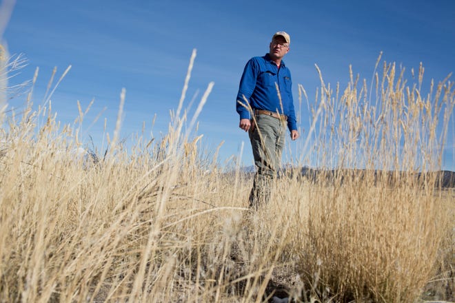 Nephi cattle rancher Michael Peterson shows off his farm where they make special conservation efforts to protect the land and the cattle they raise on Nov. 18. Peterson was one of three finalists for a prestigious conservation award.