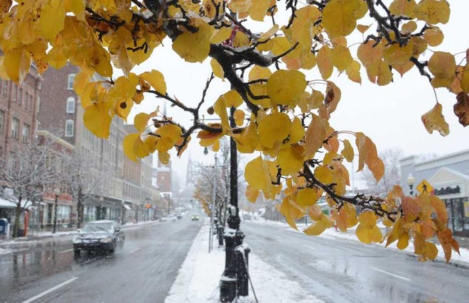 Snow blankets the median on Main Street while a tree maintain its autumn leaves during a storm, Sunday Nov. 20, 2016, in North Adams, Mass.. (Gillian Jones/The Berkshire Eagle via AP)
