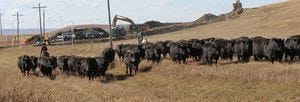 With tension mounting farmers, ranchers feeling effects of pipeline protests