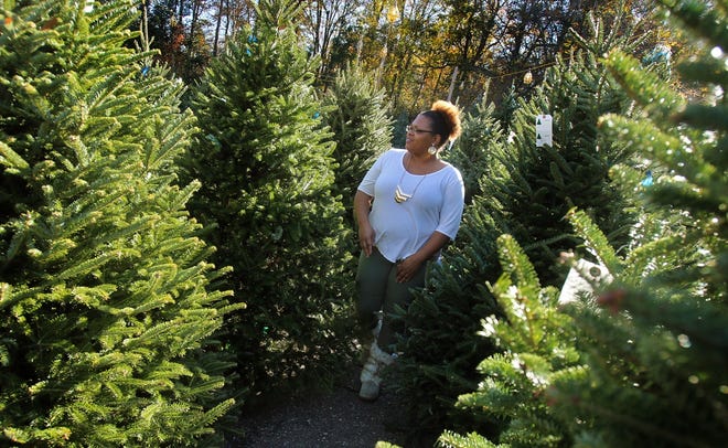 Brittany Randolph/The StarMarquita Borders walks through the trees at LeGrand´s Christmas Tree Lot on Marion Street in Shelby. Part of the proceeds made from tree sales will go to the Empty Stocking Fund.