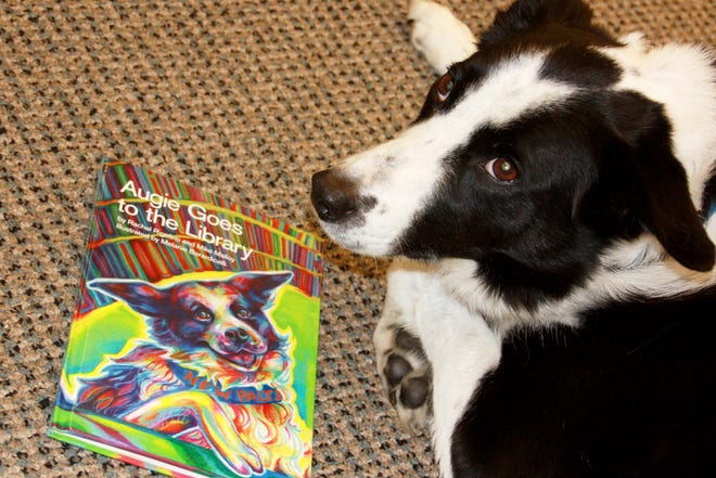 Augie the border collie with his book. PHOTO PROVIDED