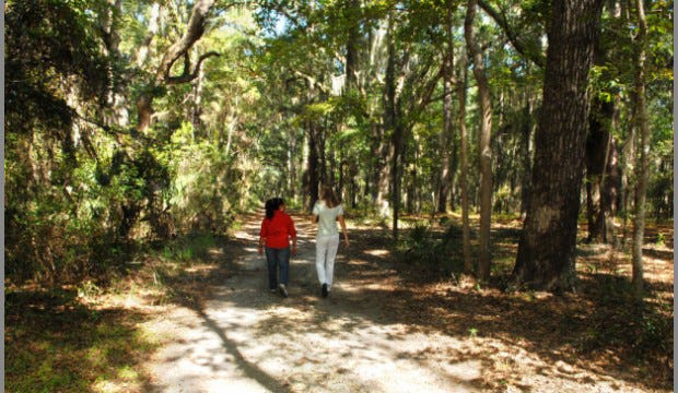 Joanna Bounds and Dionne Hoskins walk through Whitemarsh Preserve in 2010. The Whitemarsh Preserve and its trails have been evaluated by Chatham County and the storm debris management contractor and it has been deemed unsafe for public use. Debris cleanup will start Wednesday. (Carl Elmore/ Savannah Morning News file photo)