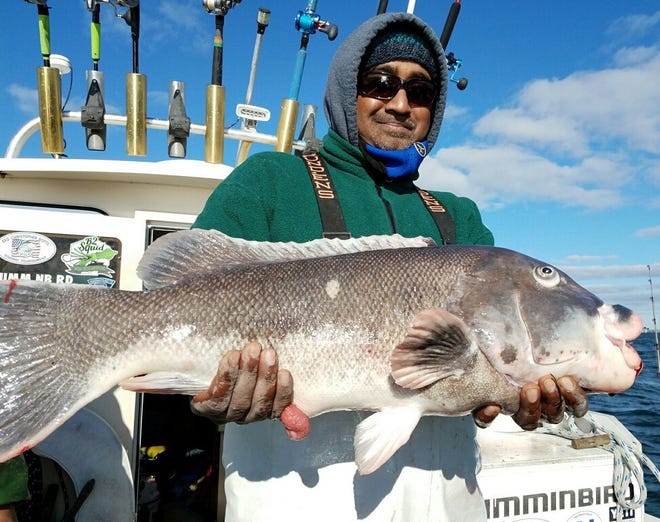 Ronnie Mohammed of New York caught and released this 14-pound tautog when fishing with Capt. B.J. Silvia of Flippin Out Charters on Sunday.