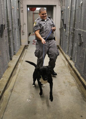 (John Clark/The Gazette) Animal Control aid Osvaldo Ortiz brings a dog through the kennel at the Gaston County Animal Shelter in Dallas in 2015. The current facility is 47 years old and has been badly in need of replacment for more than a decade.