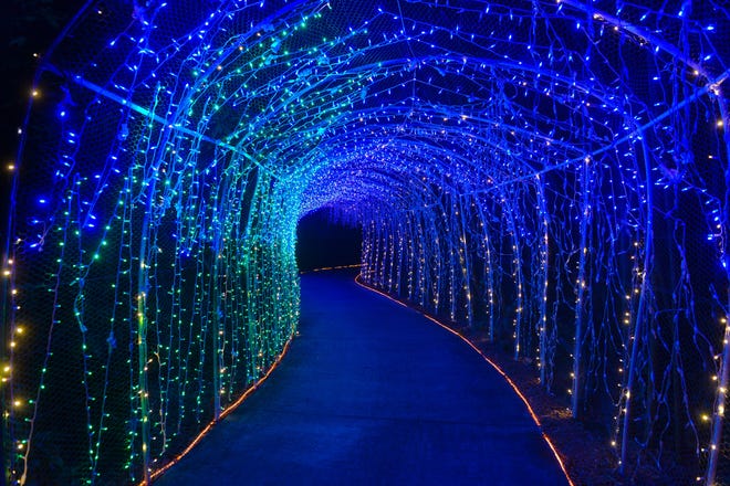 Selby Gardens' "Lights in Bloom" event opens Friday. Herald-Tribune Archive / 2015