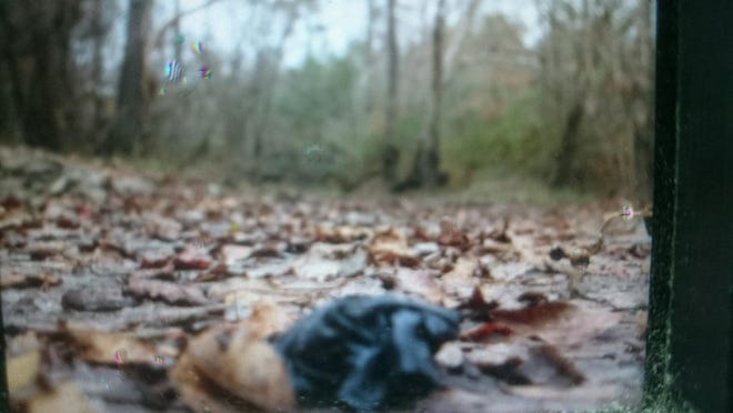 A black latex glove lays on the embankment of Southwest Creek where law enforcement officials discovered the car of Gary Morton of Jacksonville. Morton was reported missing Dec. 8.