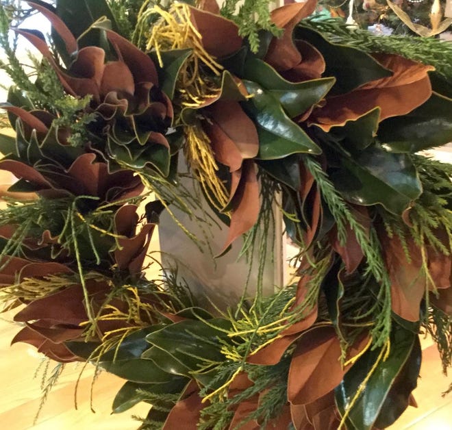 This handmade wreath has vibrant color with the Kay Parris Magnolia leaves showing their brown and glossy green. In addition, the cryptomeria stems, and the gold thread cypress make this wreath stand out.