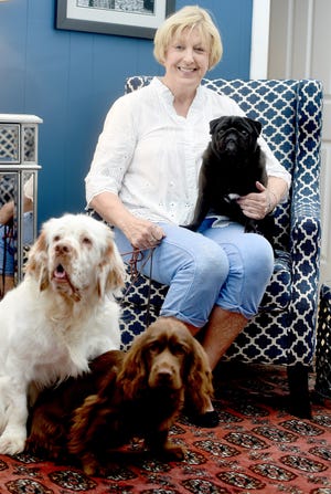 Charlotte Patterson poses recently in her Destin home with her three dogs. She will be a judge in the Westminster Kennel Club Dog Show in New York in February. NICK TOMECEK/THE LOG