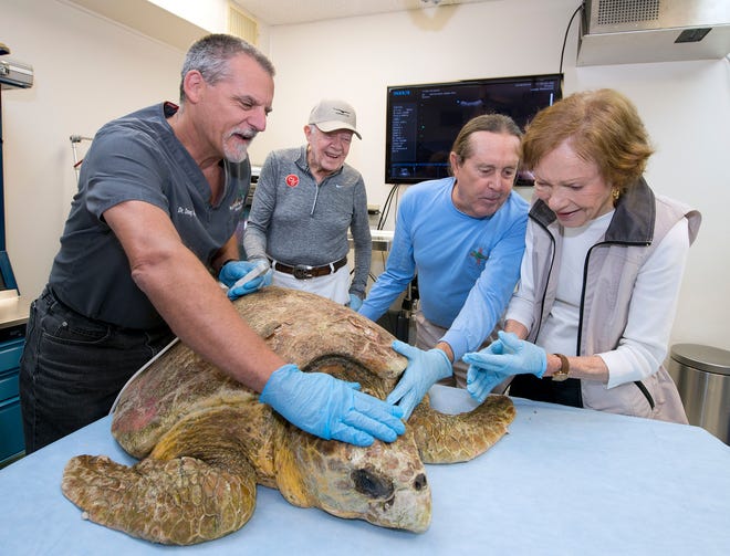 In this photo provided by the Florida Keys News Bureau, former President Jimmy Carter, second from left, and his wife Rosalynn, right, examine a rescued loggerhead sea turtle in the surgical suite at the Florida Keys-based Turtle Hospital Friday, Dec. 30, 2016, in Marathon, Fla. At left is veterinarian Doug Mader and second from right is Richie Moretti, founder and director of the hospital. Carter and about 40 of his family members are vacationing in the Florida Keys and the visit to the hospital was a facet of their trip. (Andy Newman/Florida Keys News Bureau via AP)