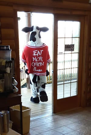 One of Chick-fil-A’s cow mascots walks out of the gift shop at the Hutchinson Zoo, where it visited on Friday, Jan. 6, 2017, for photos to promote the restaurant’s Jan. 26 opening.