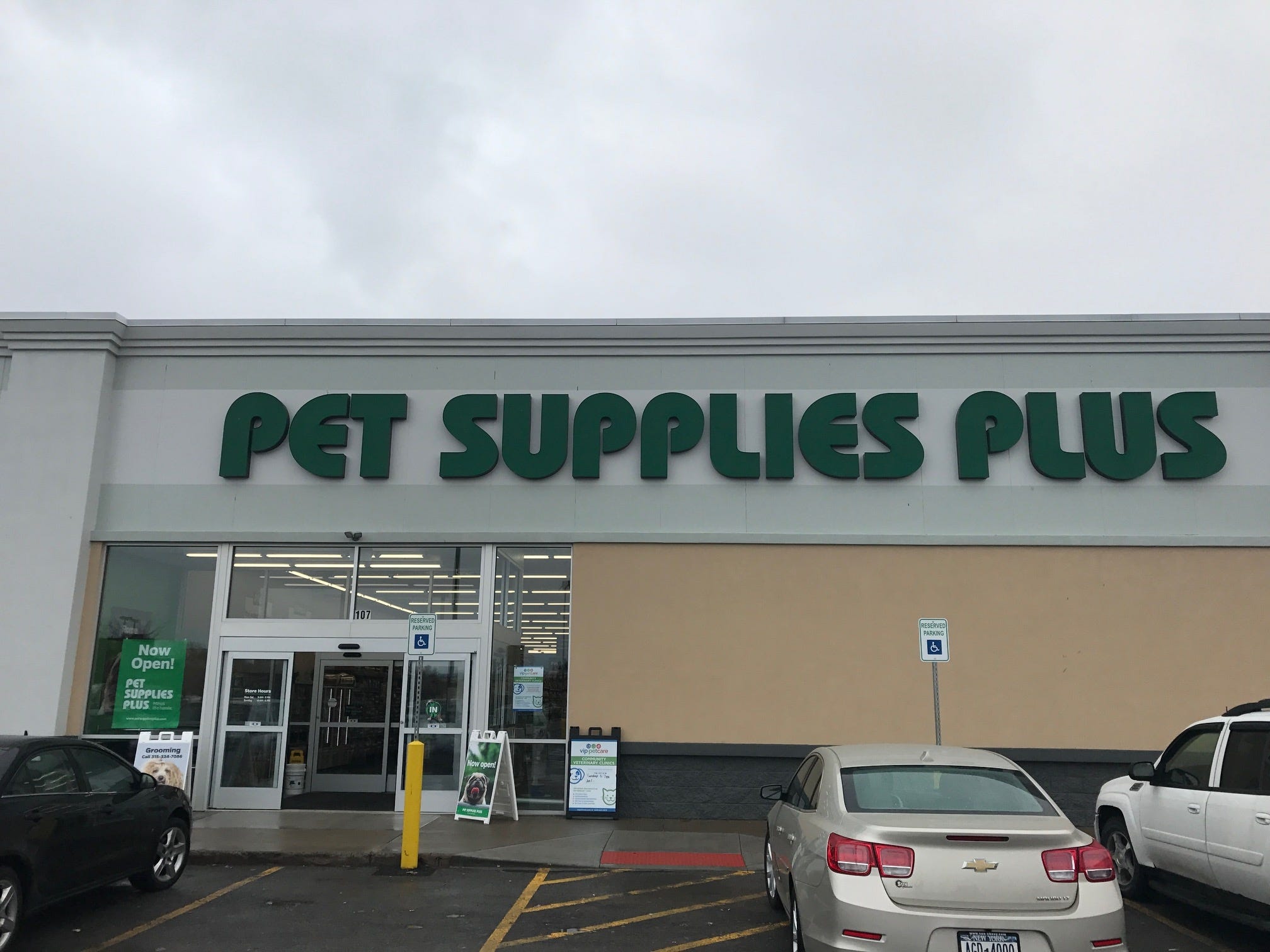 Business Buzz Pet Supplies Plus Rome