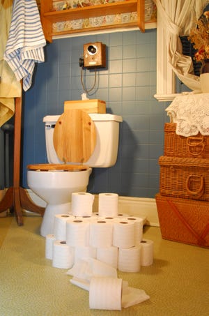 A hidden cost of a bathroom remodel is the toilet. (gracey/morgueFile)