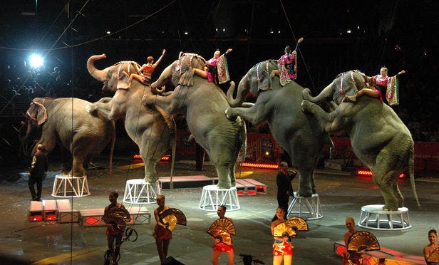Ringling Brothers Circus.