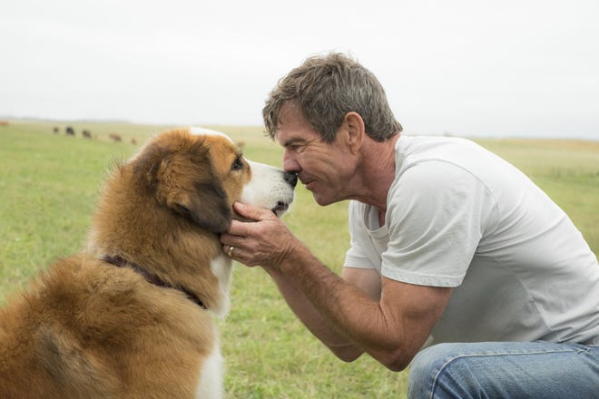 This image released by Universal Pictures shows Dennis Quaid with a dog, voiced by Josh Gad, in a scene from "A Dog's Purpose." A spokesman for American Humane said Wednesday, Jan. 18, 2017 that it has suspended its safety representative who worked on the set of the film when a frightened German shepherd, not shown, was forced into churning waters. (Joe Lederer/Universal Pictures via AP)