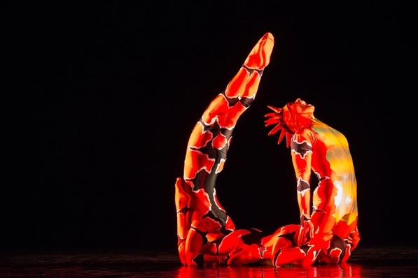 “Magical Bodies: Art, Technology and Technique,” a lecture on Jan. 25, will lead to a performance by Momix in February. COURTESY OF ZEITERION
