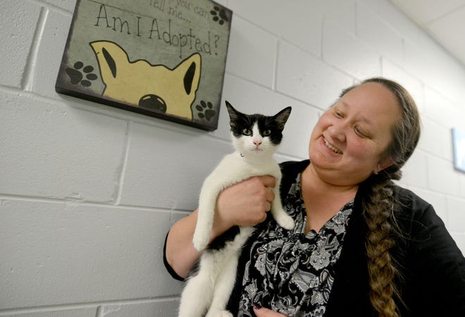 Shelter Manager Suzi Springsteen-Marks holds a cat at Lake County Animal Services in Tavares on Wednesday. Lake County is beginning to operate the facility as a no-kill shelter. (Amber Riccinto/ Daily Commercial)
