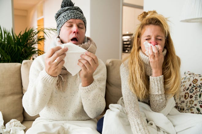 New research has discovered a link between cold noses and a drop in immunity to respiratory infections.