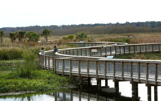 People walk along the boardwalk at the Sweetwater Wetlands Park in Gainesville. (Brad McClenny/The Gainesville Sun)