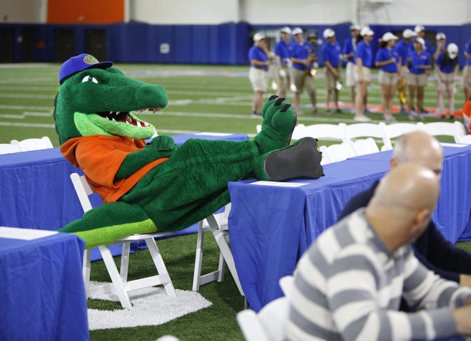 Albert kicks his claws up on a table while he waits with reporters for Florida head coach Jim McElwain to have a press conference about National Signing Day held at the Indoor Practice Facility at the University of Florida, in Gainesville Wednesday Feb. 1, 2017. THE GAINESVILLE SUN / BRAD MCCLENNY