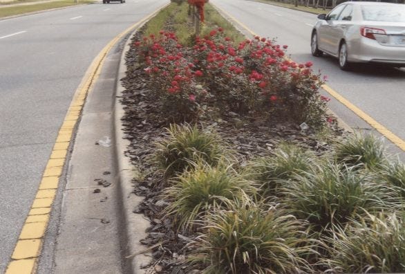 Along this median are liriope,

Knock-Out roses and perennial peanuts. CONTRIBUTED PHOTO