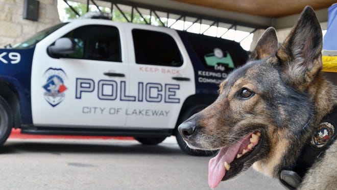 Orka, a K-9 that recently retired from Lakeway Police Department, was a popular presence at community events such as Lakeway Activity Center s Summer Kickoff.COURTESY OF CITY OF LAKEWAY