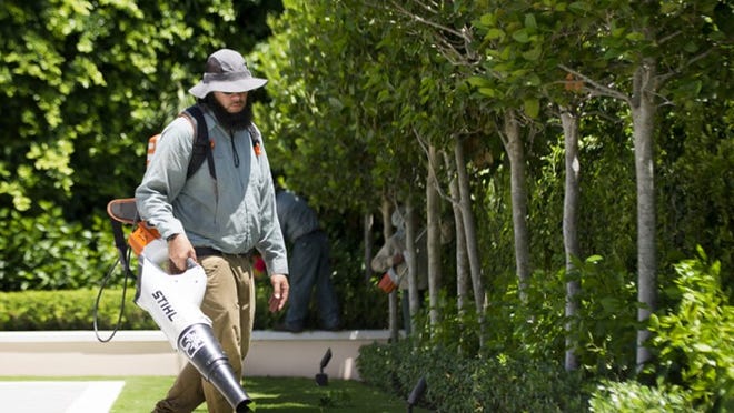 A worker uses an electric leaf blower at a home in Palm Beach. Daily News File Photo