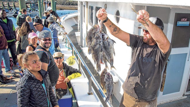 Luke Jarriel’s customers on Monday caught at least 60 red snappers they had to throw back to comply with a ban in federal waters. Some fishermen say the snapper population has regained enough strength to be harvested. (Peter Willott/St. Augustine Record)