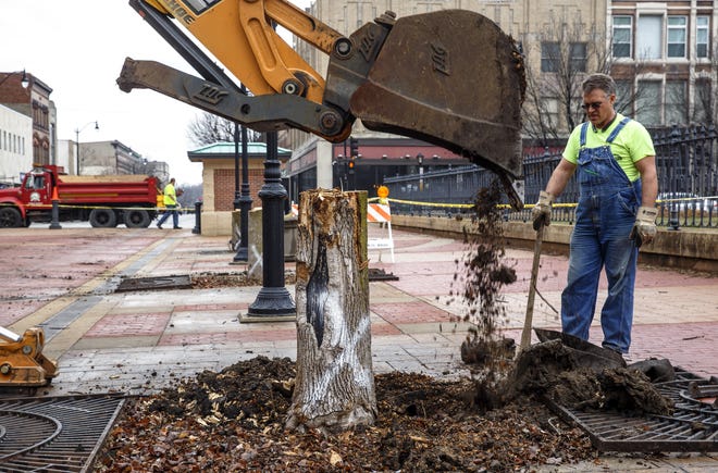 Todd Hazelwood, right, a Springfield Public Works foreman, guides a backhoe around the stump of a former ash tree being removed on the Old State Capitol Plaza on Tuesday. [Justin L. Fowler/The State Journal-Register]