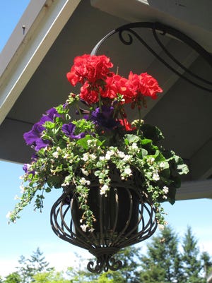 This June 25, 2013 photo shows hanging baskets on a carport near Langley, Wash., which make for a colorful welcome as visitors pull into the yard. Shop around at thrift or antique shops for decorative containers like this Victorian model to add some personality to the presentation. Hanging baskets bring instant color and texture to your yard. (AP Photo/By Dean Fosdick) (Dean Fosdick via AP)