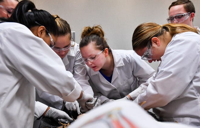 RON JOHNSON/JOURNAL STAR Gabby Stiles of Pekin, center, tries to get a closer view of the dissecting of a cadaver by fellow students during the Training Tomorrow's Physicians Today program at UnityPoint Health-Pekin.