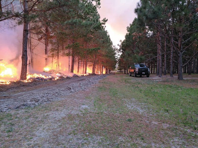 The N.C. Forest Service held a hazard reduction burn to reduce fuel loading on private property Thursday on White Oak River Road just south of the Jones County line.